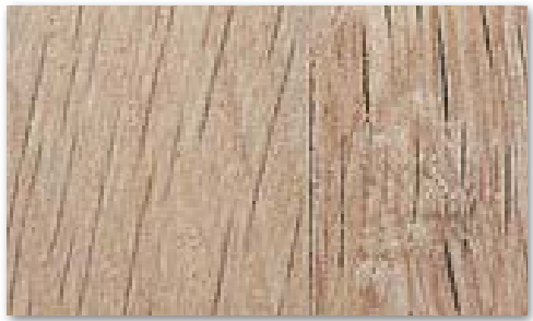 Finition FW-1306