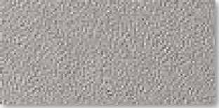 Finition PS-954